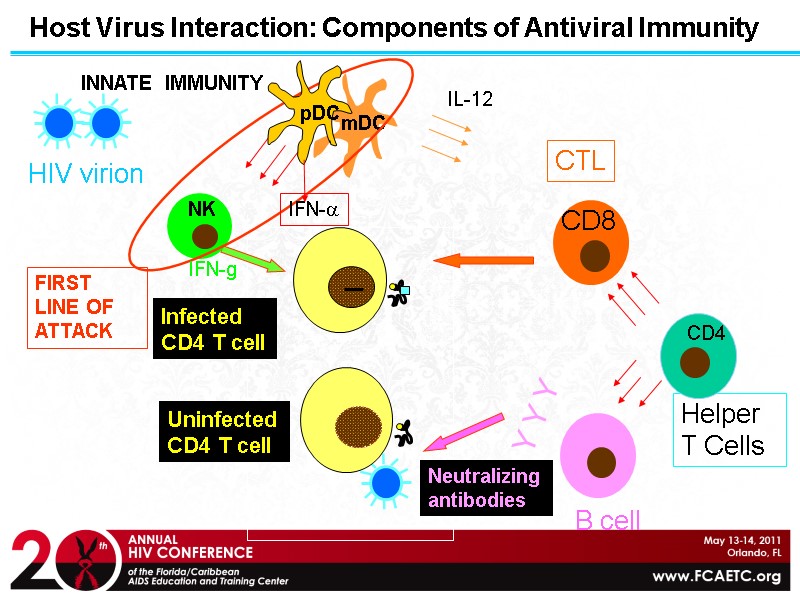HIV virion Y Y Y Helper T Cells Host Virus Interaction: Components of Antiviral